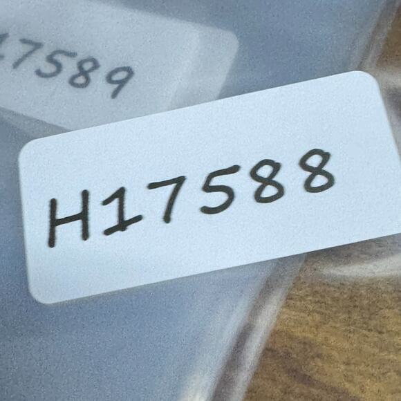 BCBGMAXAZRIA Kana Black Eyeglasses Frame 53-17-135mm B34mm H17588 - Picture 7 of 7